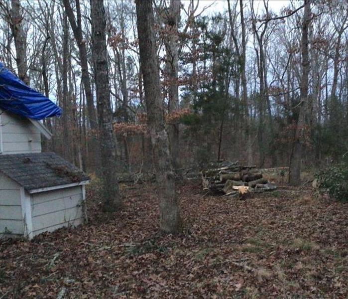 Tree damage to roof in Oxford, NC